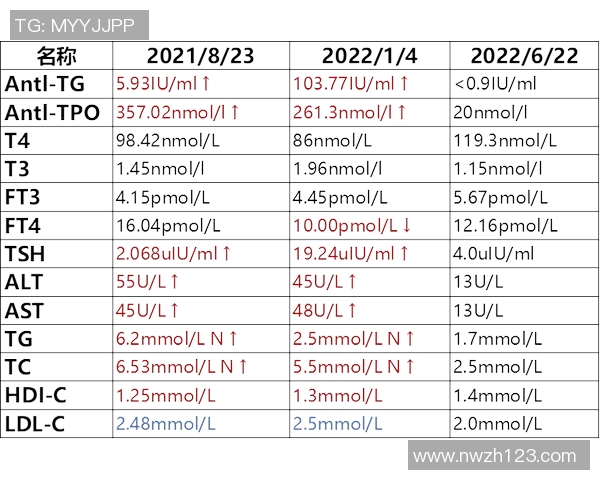 赛后分析:深圳网球队与南京网球队在比赛中的灵活性对比探讨 赛后分析:深圳网球队与南京网球队在比赛中的灵活性对比探讨