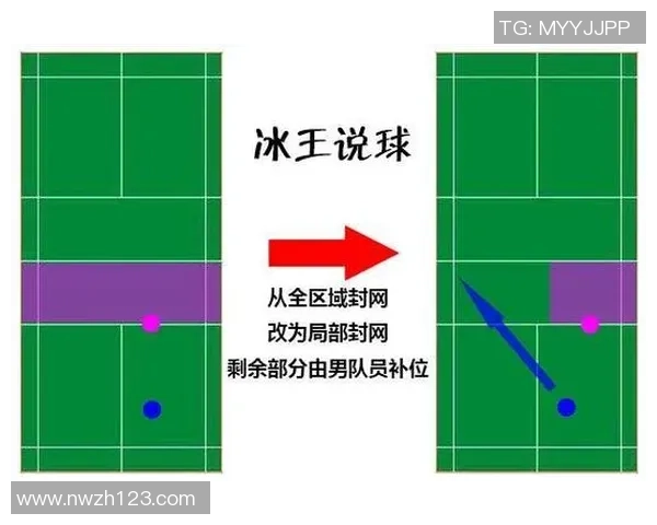 重庆羽毛球队在全国锦标赛中的战术分析与表现评估 重庆羽毛球队在全国锦标赛中的战术分析与表现评估
