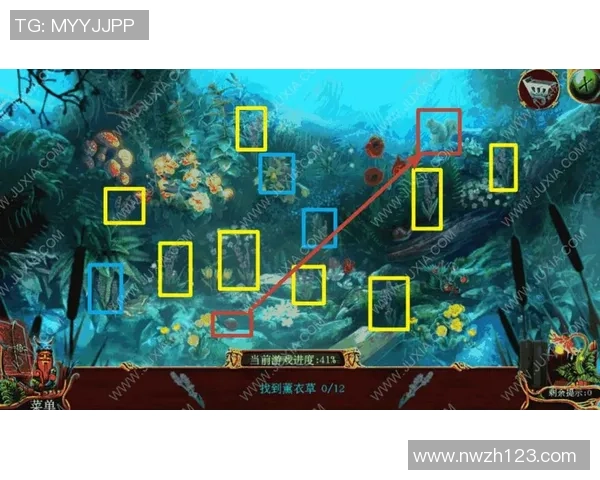 从零开始：攀岩灵活性完全攻略_1