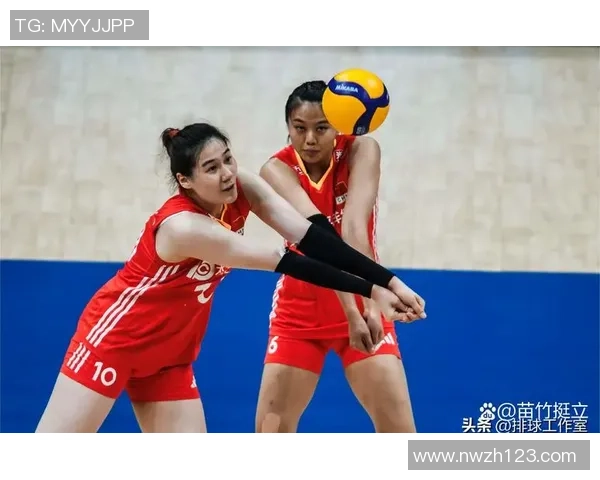 排球状态排行榜：武汉排球队位居第5名